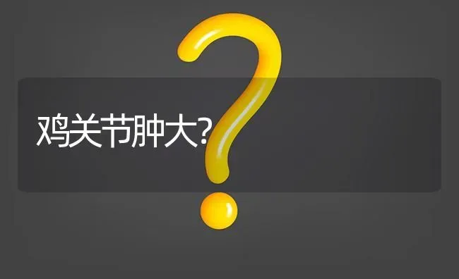 鸡关节肿大? | 养殖问题解答