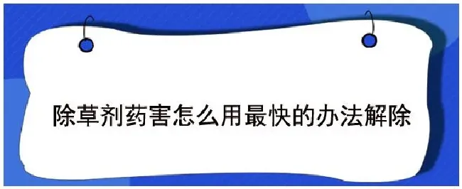 除草剂药害怎么用最快的办法解除 | 农业常识