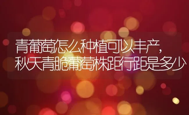 青葡萄怎么种植可以丰产,秋天青脆葡萄株距行距是多少 | 养殖常见问题