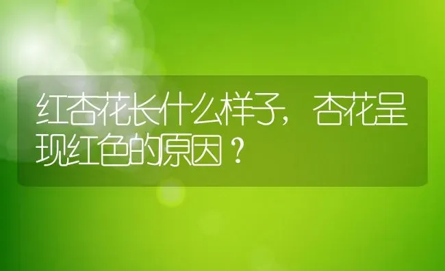 红杏花长什么样子,杏花呈现红色的原因？ | 养殖常见问题