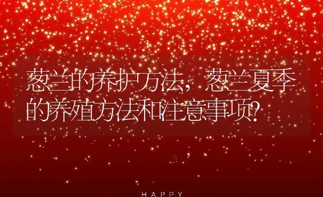 葱兰的养护方法,葱兰夏季的养殖方法和注意事项？ | 养殖常见问题