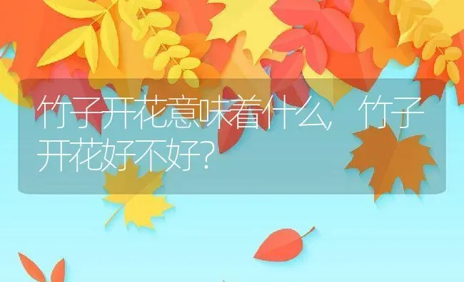 竹子开花意味着什么,竹子开花好不好？ | 养殖常见问题