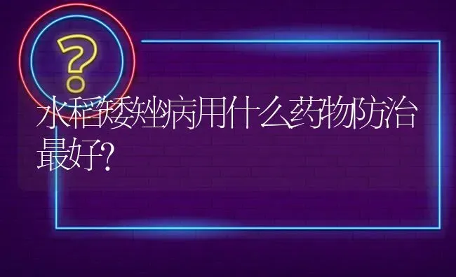 水稻矮矬病用什么药物防治最好? | 养殖问题解答