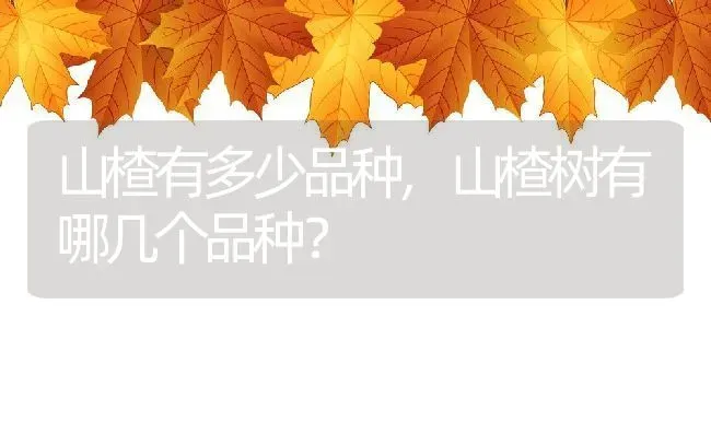 山楂有多少品种,山楂树有哪几个品种？ | 养殖常见问题
