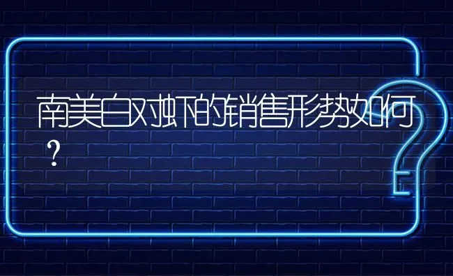 南美白对虾的销售形势如何? | 养殖问题解答