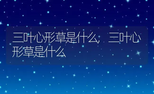 三叶心形草是什么,三叶心形草是什么 | 养殖常见问题