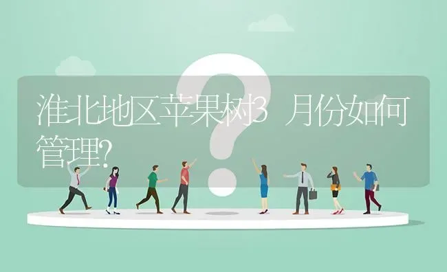 淮北地区苹果树3月份如何管理? | 养殖问题解答