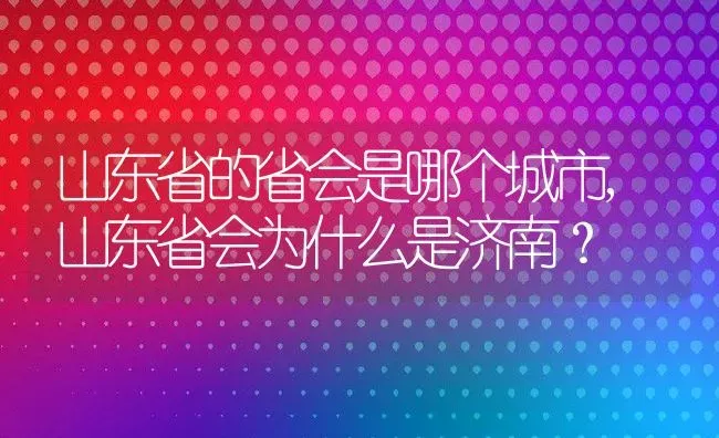 山东省的省会是哪个城市,山东省会为什么是济南？ | 养殖常见问题