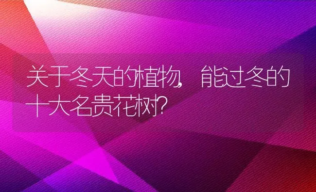 关于冬天的植物,能过冬的十大名贵花树？ | 养殖常见问题