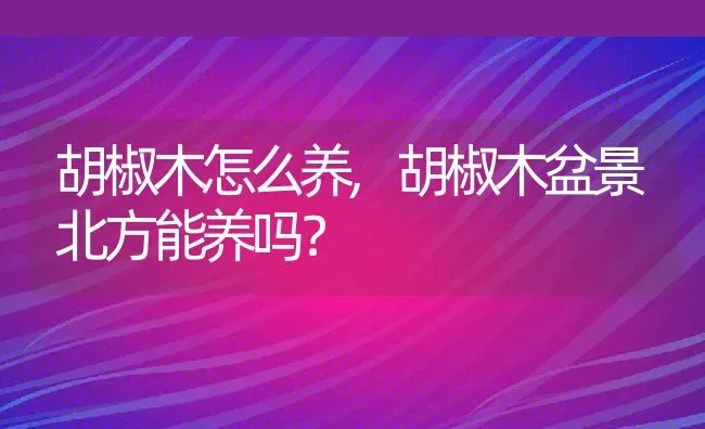 胡椒木怎么养,胡椒木盆景北方能养吗？ | 养殖常见问题