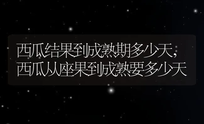 西瓜结果到成熟期多少天,西瓜从座果到成熟要多少天 | 养殖常见问题