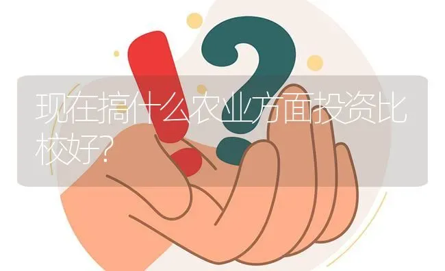 现在搞什么农业方面投资比校好? | 养殖问题解答