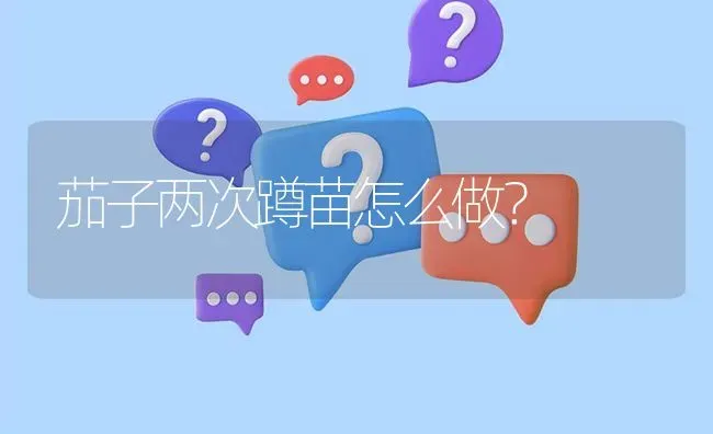 茄子两次蹲苗怎么做? | 养殖问题解答