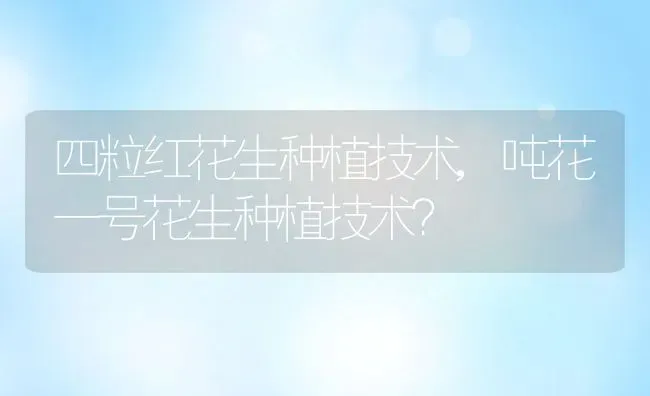四粒红花生种植技术,吨花一号花生种植技术？ | 养殖常见问题