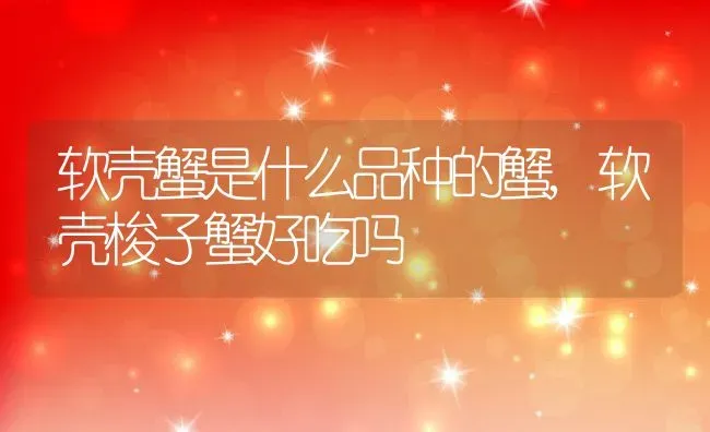 黑枸杞在农村叫什么,黑枸杞是什么？对身体有哪些好处？ | 养殖常见问题