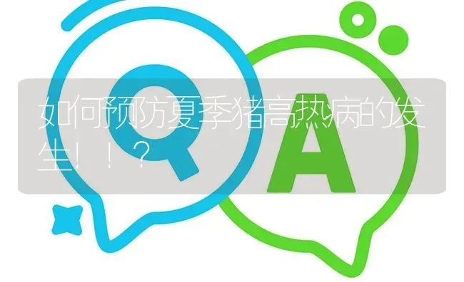 如何预防夏季猪高热病的发生！！? | 养殖问题解答
