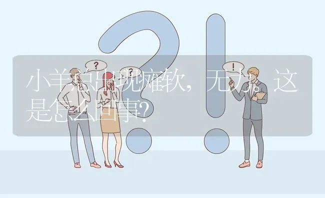 小羊总出现瘫软,无力。这是怎么回事? | 养殖问题解答