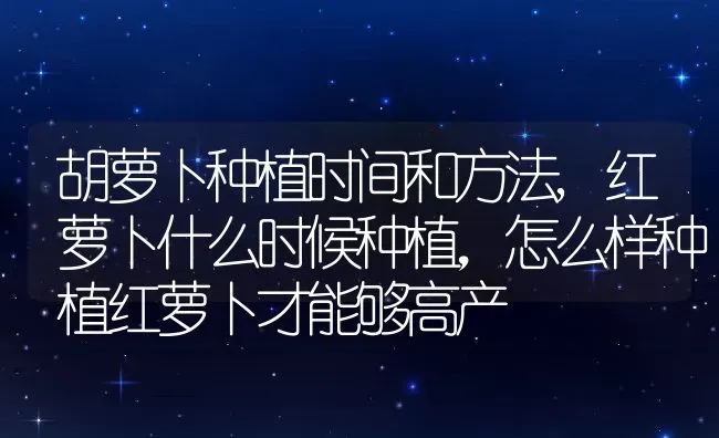 三代虫鱼病的防治措施,七彩神仙鱼金慌是怎么会事 | 养殖常见问题