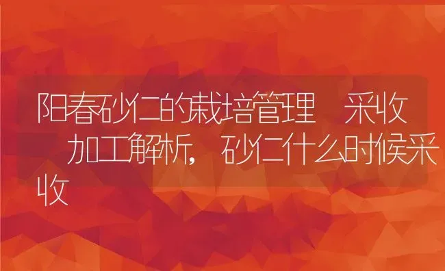 阳春砂仁的栽培管理 采收 加工解析,砂仁什么时候采收 | 养殖常见问题