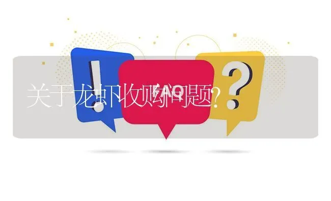 关于龙虾收购问题? | 养殖问题解答