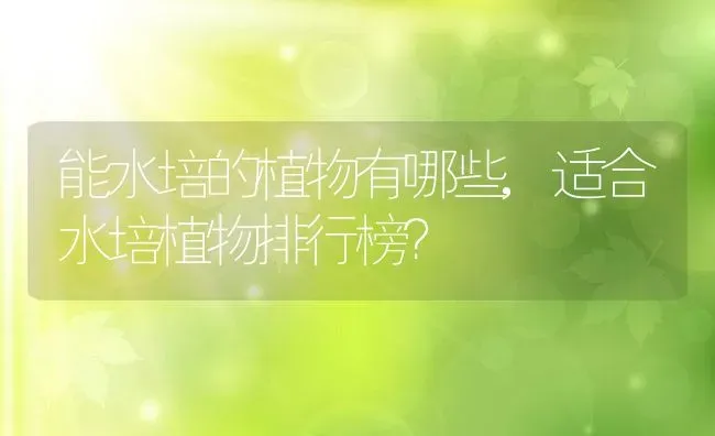 能水培的植物有哪些,适合水培植物排行榜？ | 养殖常见问题