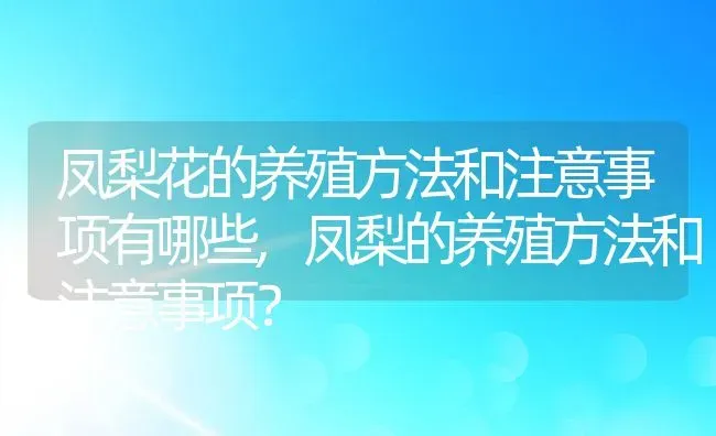 凤梨花的养殖方法和注意事项有哪些,凤梨的养殖方法和注意事项？ | 养殖常见问题