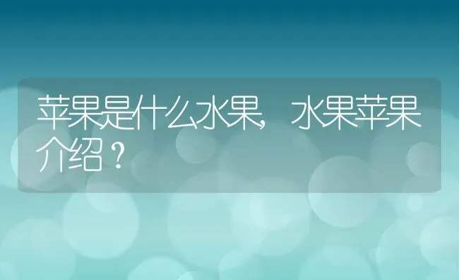 苹果是什么水果,水果苹果介绍？ | 养殖常见问题