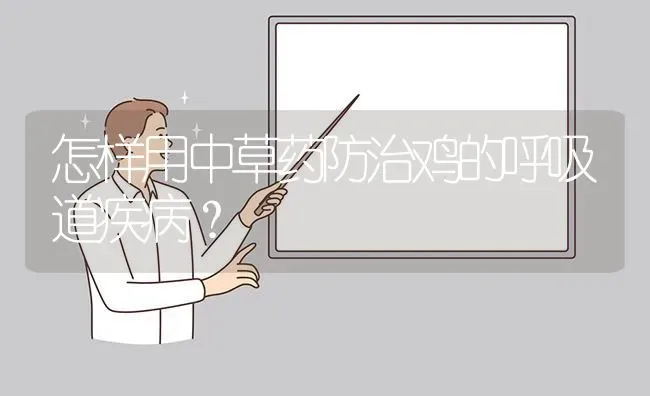 怎样用中草药防治鸡的呼吸道疾病? | 养殖问题解答