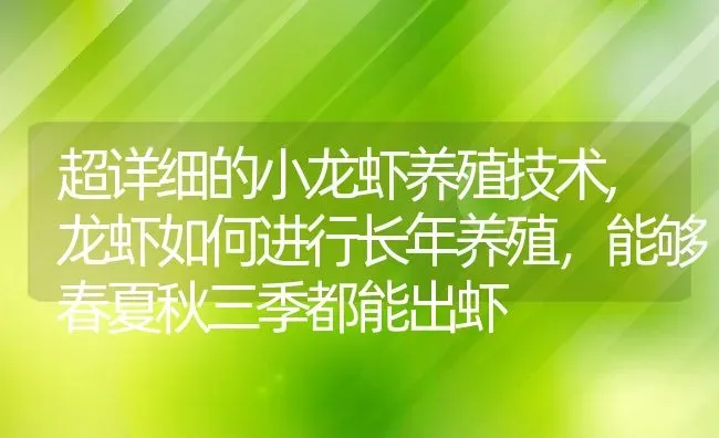 超详细的小龙虾养殖技术,龙虾如何进行长年养殖，能够春夏秋三季都能出虾 | 养殖常见问题