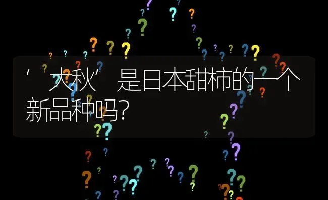 ‘大秋’是日本甜柿的一个新品种吗? | 养殖问题解答