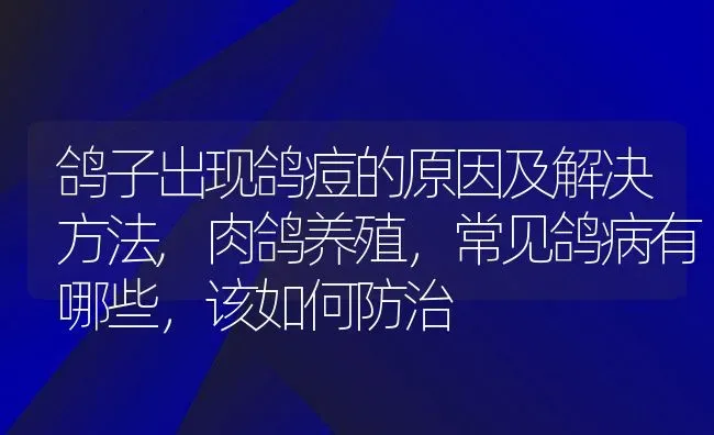 鸽子出现鸽痘的原因及解决方法,肉鸽养殖，常见鸽病有哪些，该如何防治 | 养殖常见问题