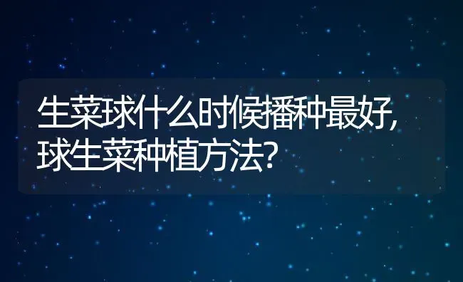 生菜球什么时候播种最好,球生菜种植方法？ | 养殖常见问题