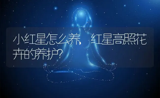 小红星怎么养,红星高照花卉的养护？ | 养殖常见问题