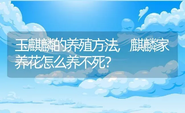 玉麒麟的养殖方法,麒麟家养花怎么养不死？ | 养殖常见问题