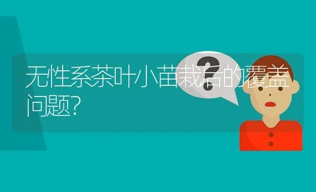 无性系茶叶小苗栽后的覆盖问题? | 养殖问题解答