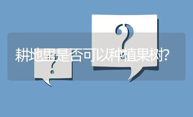 耕地里是否可以种植果树? | 养殖问题解答