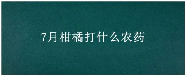 7月柑橘打什么农药 | 三农答疑