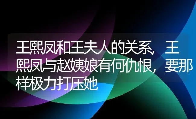 王熙凤和王夫人的关系,王熙凤与赵姨娘有何仇恨，要那样极力打压她 | 养殖常见问题