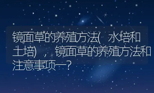 镜面草的养殖方法(水培和土培),镜面草的养殖方法和注意事项一？ | 养殖常见问题