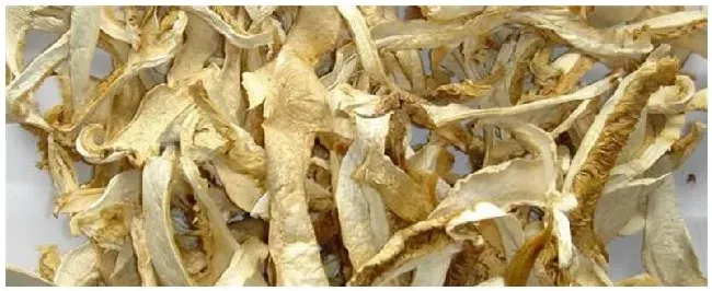 松茸怎么泡发 | 农业答疑