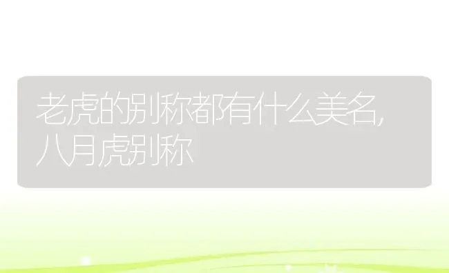 老虎的别称都有什么美名,八月虎别称 | 养殖常见问题