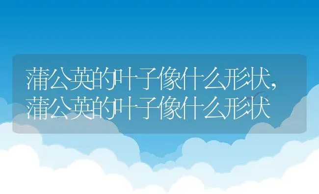 香雪兰的花语和寓意,香雪兰花语含义？ | 养殖常见问题