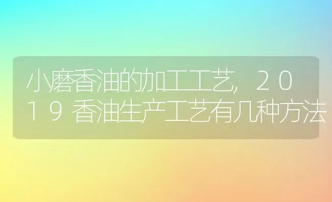 小磨香油的加工工艺,2019香油生产工艺有几种方法 | 养殖常见问题