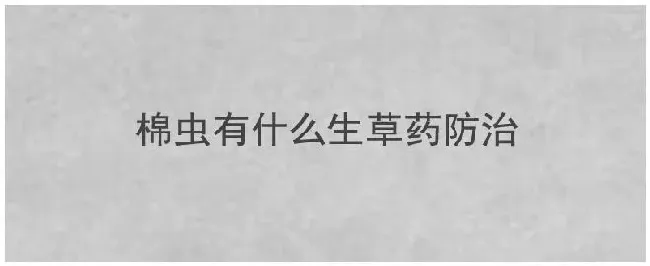 棉虫有什么生草药防治 | 农业问题