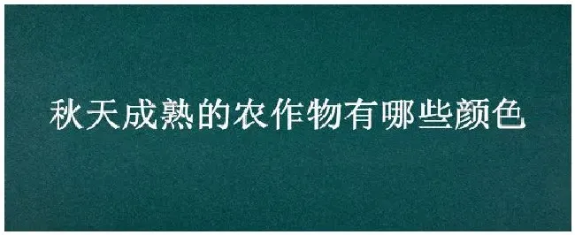 秋天成熟的农作物有哪些颜色 | 农业答疑