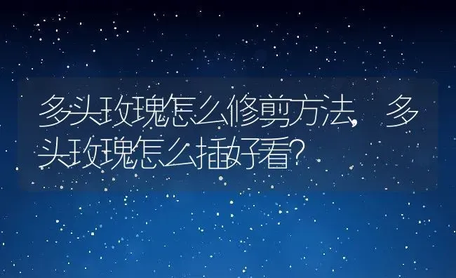 多头玫瑰怎么修剪方法,多头玫瑰怎么插好看？ | 养殖常见问题