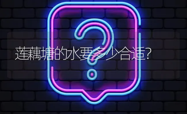 莲藕塘的水要多少合适? | 养殖问题解答