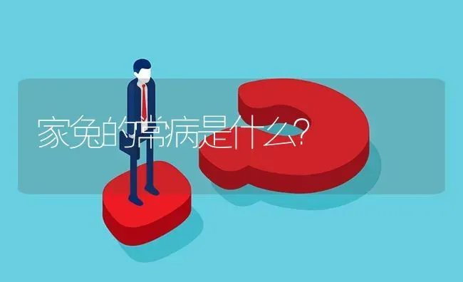 家兔的常病是什么? | 养殖问题解答