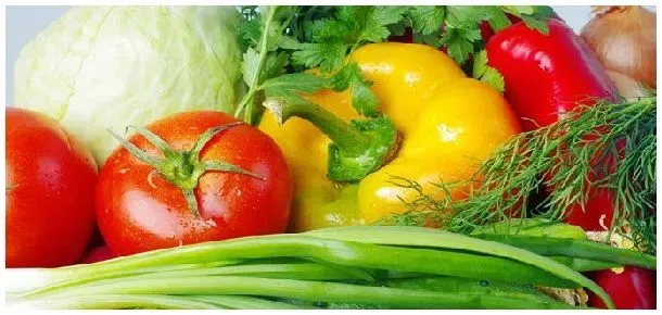 当前我国蔬菜农药超标的主要原因是 | 农业常识