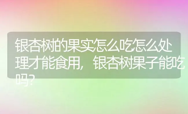 银杏树的果实怎么吃怎么处理才能食用,银杏树果子能吃吗？ | 养殖常见问题